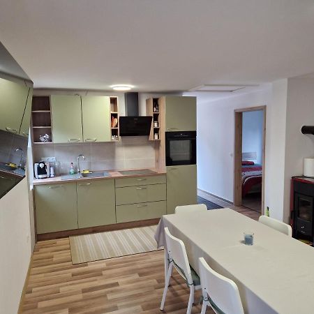 Apartma Tija Apartman Tolmin Kültér fotó